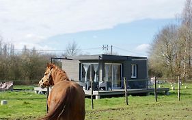 Cottage tout confort au milieu des chevaux